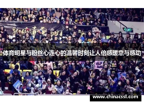 体育明星与粉丝心连心的温馨时刻让人倍感暖意与感动