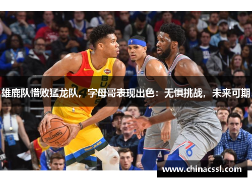 雄鹿队惜败猛龙队，字母哥表现出色：无惧挑战，未来可期